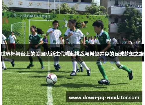 世界杯舞台上的美国队新生代崛起挑战与希望并存的足球梦想之路